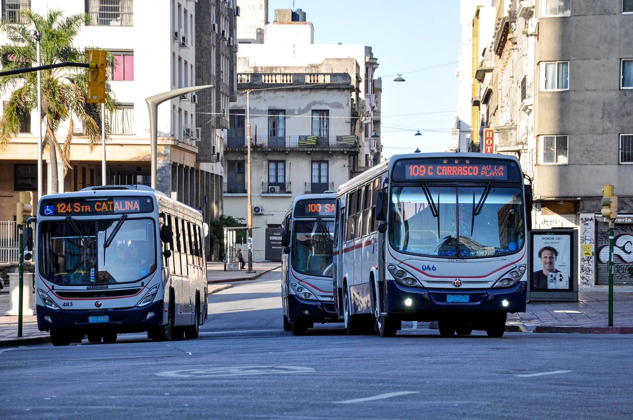 City buses on a busy street in Montevideo, Uruguay, showcasing local public transportation.